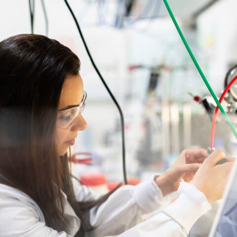 Project practical lab