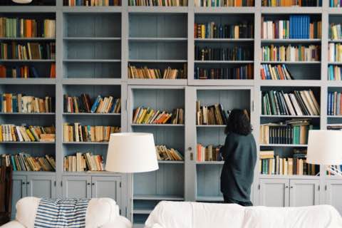 Books shelves