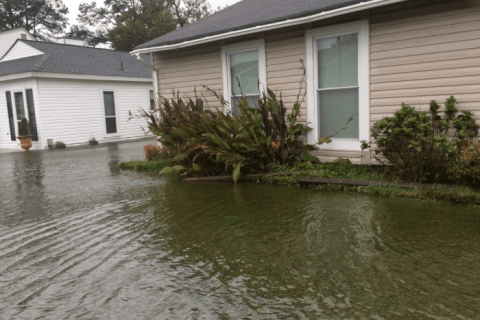 Old Dominion University, Chesapeake Bay Foundation launch flood resilience partnership alt