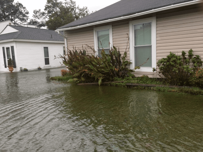 Old Dominion University, Chesapeake Bay Foundation launch flood resilience partnership alt