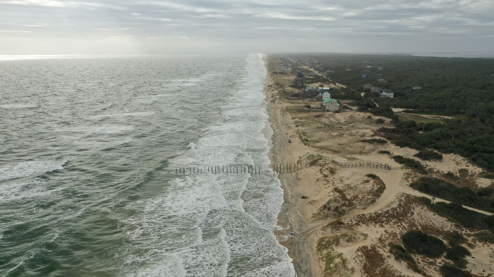 Research into action