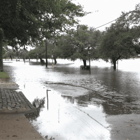 Virginia Beach Flood Protection Program Bond Referendum Analysis