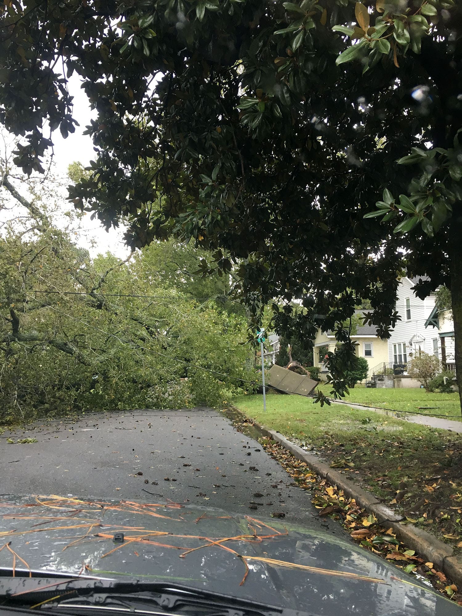 The Social Science & Policy program seeks to